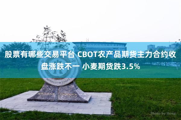 股票有哪些交易平台 CBOT农产品期货主力合约收盘涨跌不一 小麦期货跌3.5%