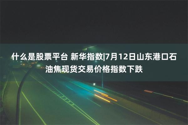 什么是股票平台 新华指数|7月12日山东港口石油焦现货交易价格指数下跌