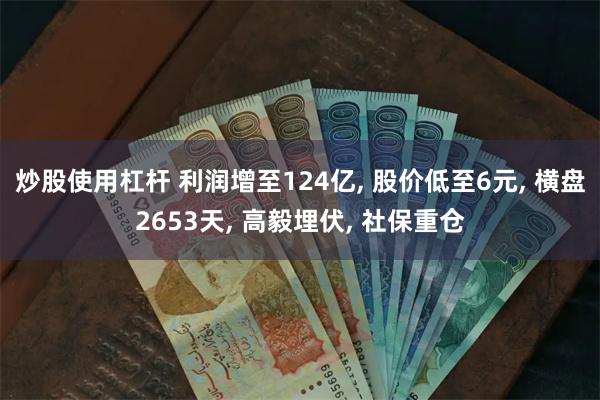 炒股使用杠杆 利润增至124亿, 股价低至6元, 横盘2653天, 高毅埋伏, 社保重仓