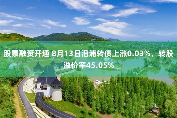 股票融资开通 8月13日沿浦转债上涨0.03%，转股溢价率45.05%