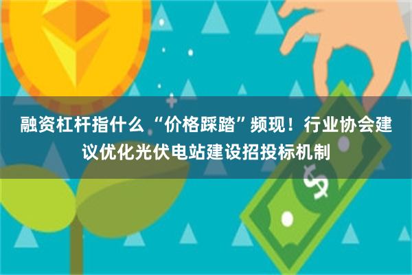 融资杠杆指什么 “价格踩踏”频现！行业协会建议优化光伏电站建设招投标机制