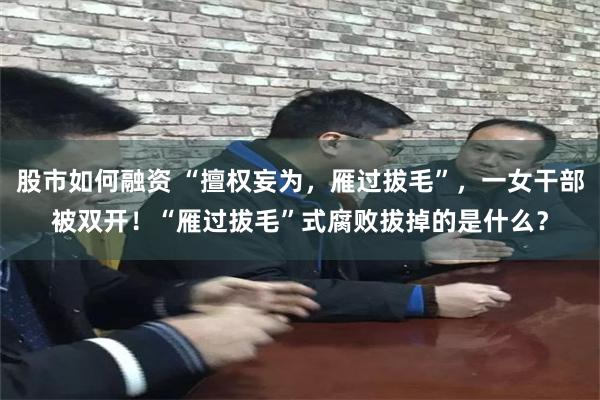 股市如何融资 “擅权妄为，雁过拔毛”，一女干部被双开！“雁过拔毛”式腐败拔掉的是什么？