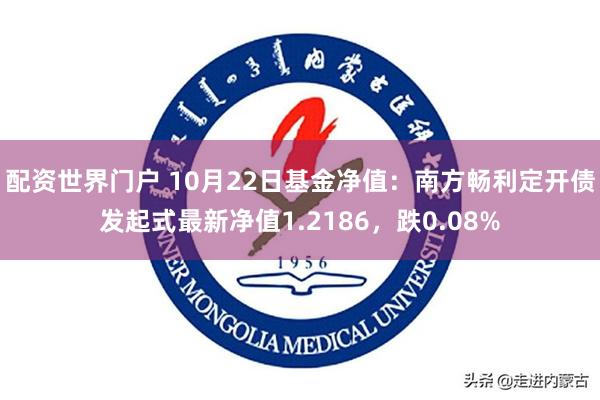 配资世界门户 10月22日基金净值：南方畅利定开债发起式最新净值1.2186，跌0.08%