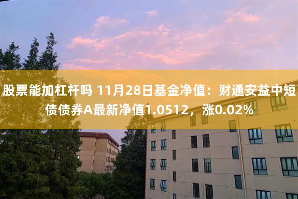 股票能加杠杆吗 11月28日基金净值：财通安益中短债债券A最新净值1.0512，涨0.02%