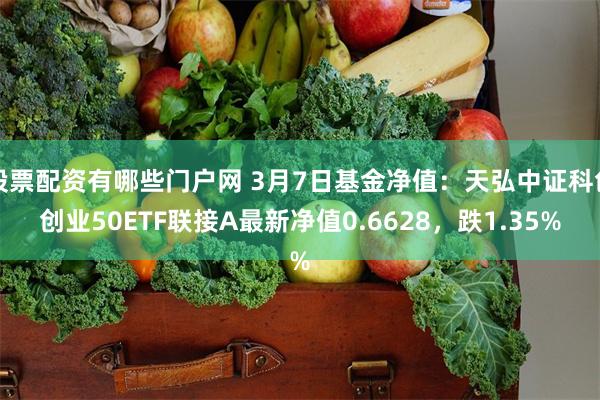 股票配资有哪些门户网 3月7日基金净值：天弘中证科创创业50ETF联接A最新净值0.6628，跌1.35%