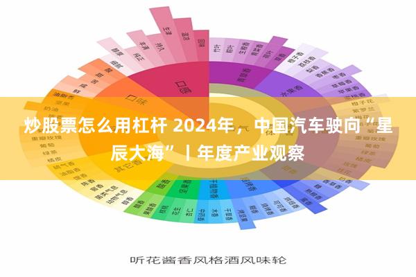 炒股票怎么用杠杆 2024年，中国汽车驶向“星辰大海”丨年度产业观察